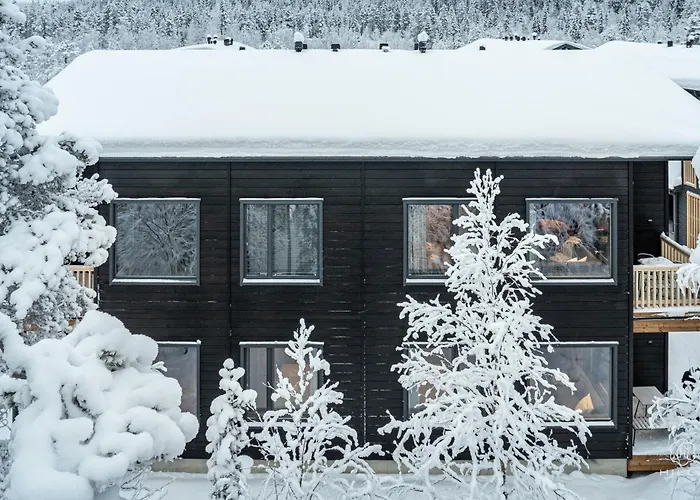 Levin Lyhty Clara C2 By Hilla ليفي