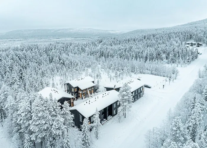 Levin Lyhty Clara C2 By Hilla * ليفي